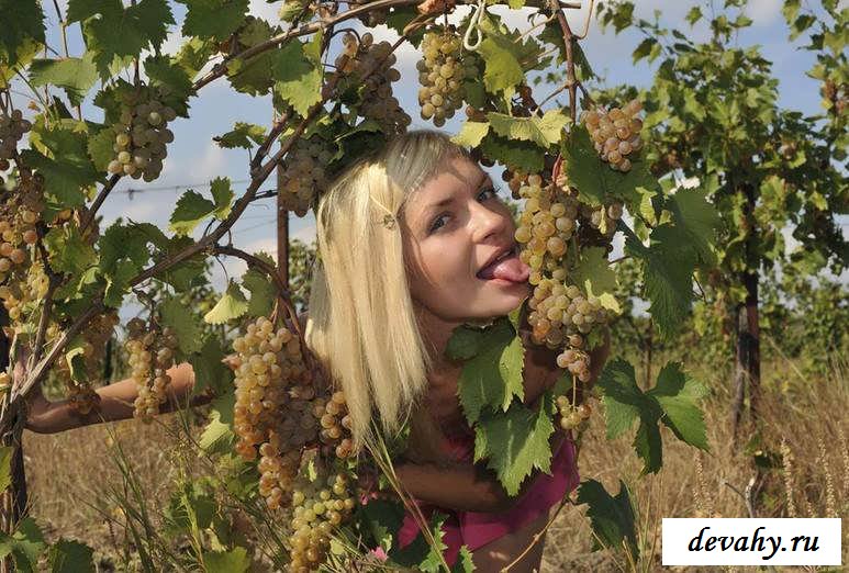 Стриженная писька голой блондинки на винограднике  (Пятнадцать эро фото)
